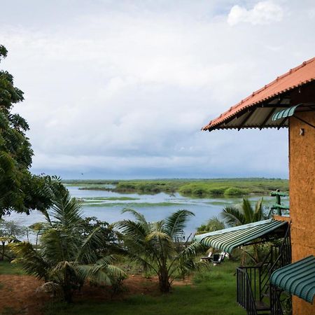 Hotel Bundala Flamingo Cotteges Hambantota Esterno foto