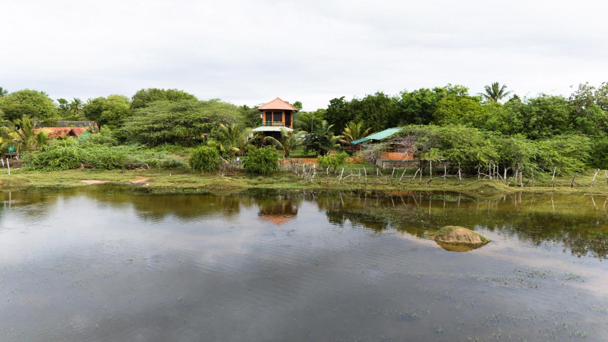 Hotel Bundala Flamingo Cotteges Hambantota Esterno foto